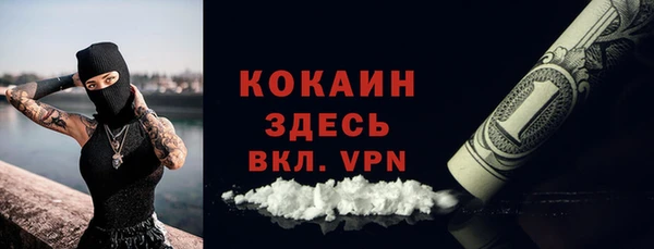 мяу мяу мука Аркадак